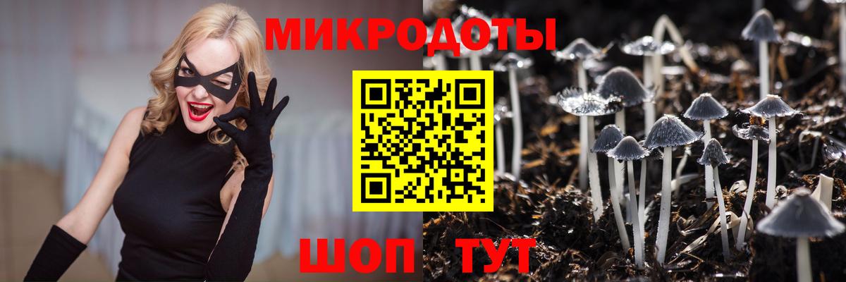 Псилоцибиновые грибы мухоморы  Вход с VPN  где найти наркотики  Мончегорск 